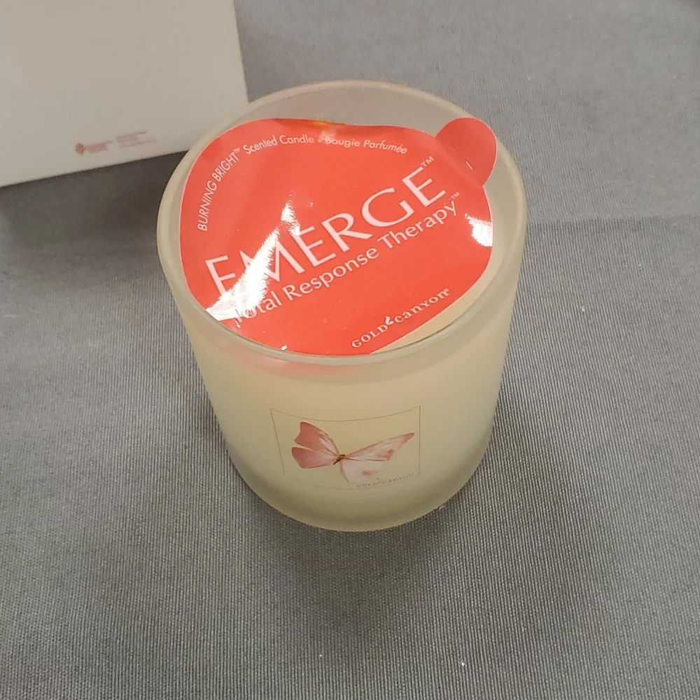 BURNING BRIGHT Emerge candle from Gold Canyon 7.5‎ oz